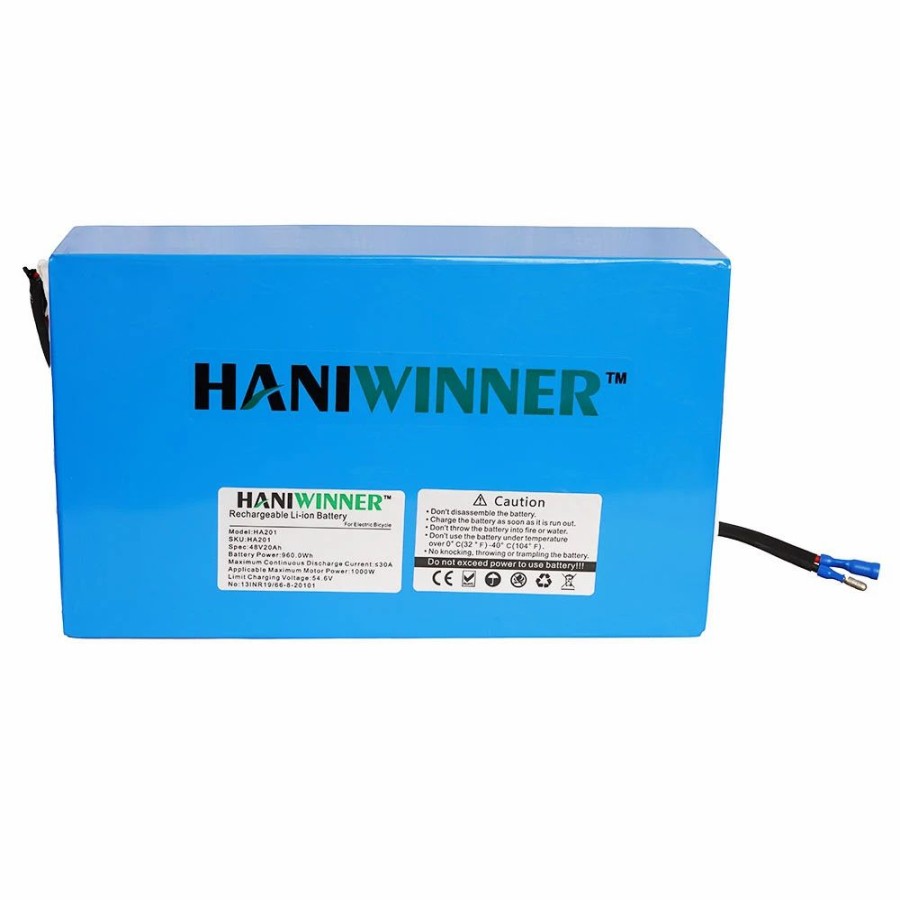 E-Bikes, Scooters & Wheels * | Haniwinner Ha201 Electric Bike Rechargeable Lithium Battery 48V 20Ah 960W With Charger Blue