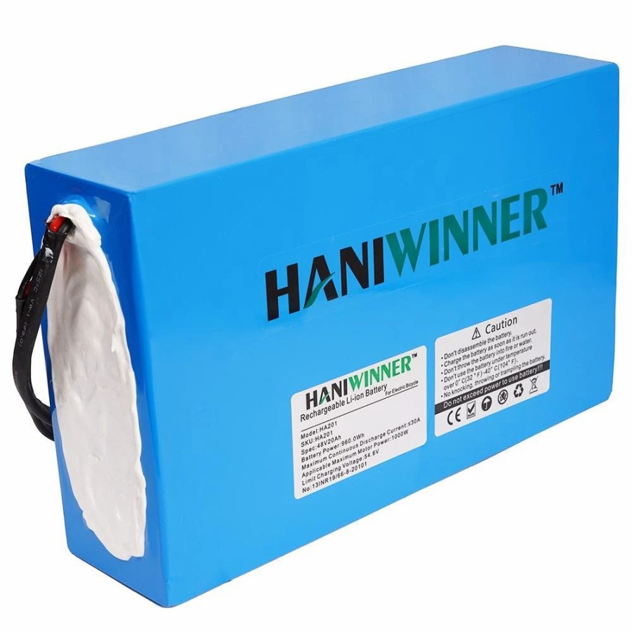 E-Bikes, Scooters & Wheels * | Haniwinner Ha201 Electric Bike Rechargeable Lithium Battery 48V 20Ah 960W With Charger Blue